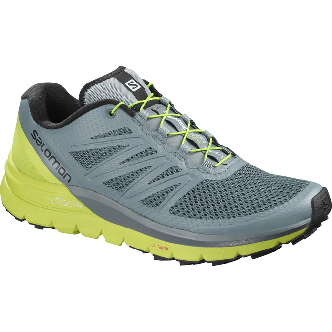 Zapatillas Trail Running Salomon Hombre Azules / Verde - Salomon Argentina SENSE PRO MAX ,392785-RSD